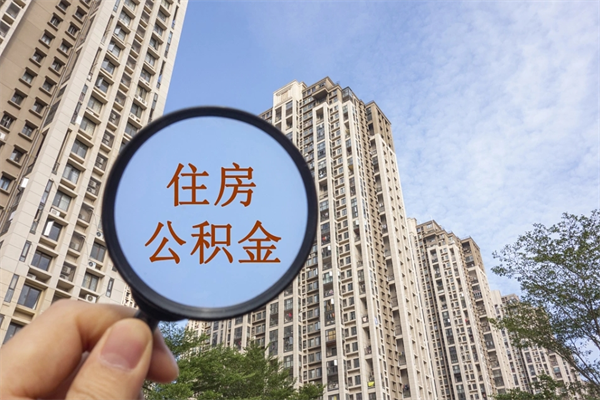 广州公积金大厅上班时间全攻略，避免白跑一趟